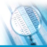 Understanding the data