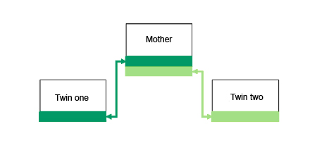 Diagram showing a mother's record with two baby tails, and two records for twins, each with their own baby tail.